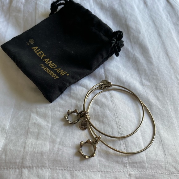 Alex and Ani Silver Crown Bracelet 👑 - Picture 8 of 10